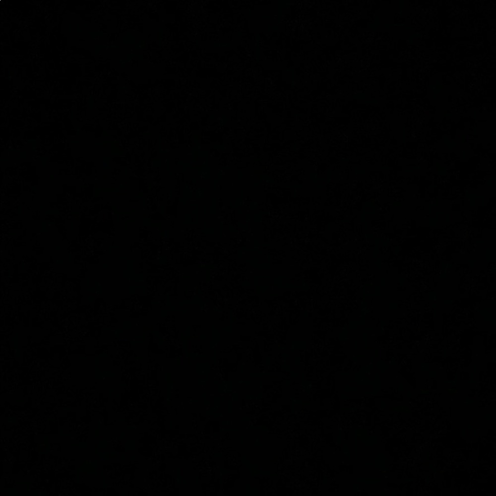 Meet your Posher, Kelsie